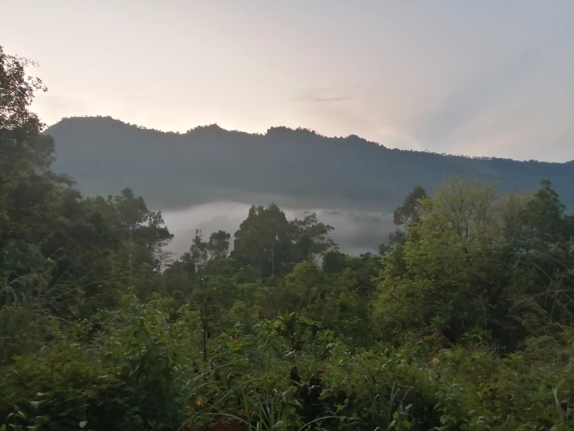 Udakiruwa Kuti