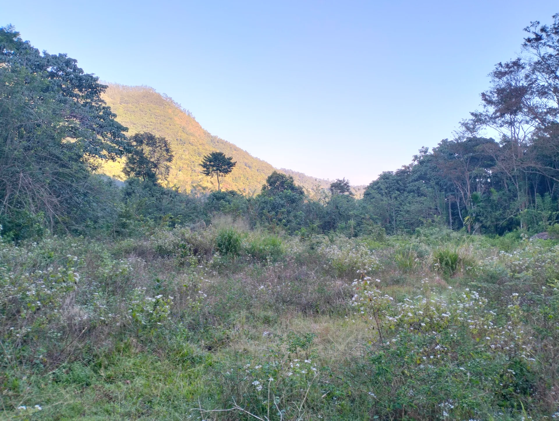 Mahavana Monastery